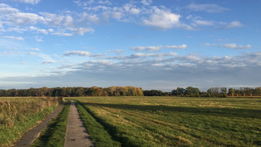 BÜNDNIS 90/DIE GRÜNEN TeltowFläming unterstützen die Forderungen nach
