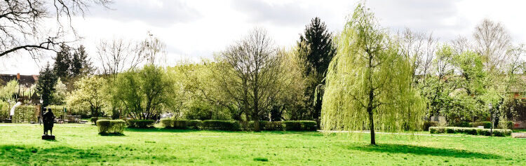 Eine Grüne Wiese mit einer Statue und Bäumen im Hintergrund